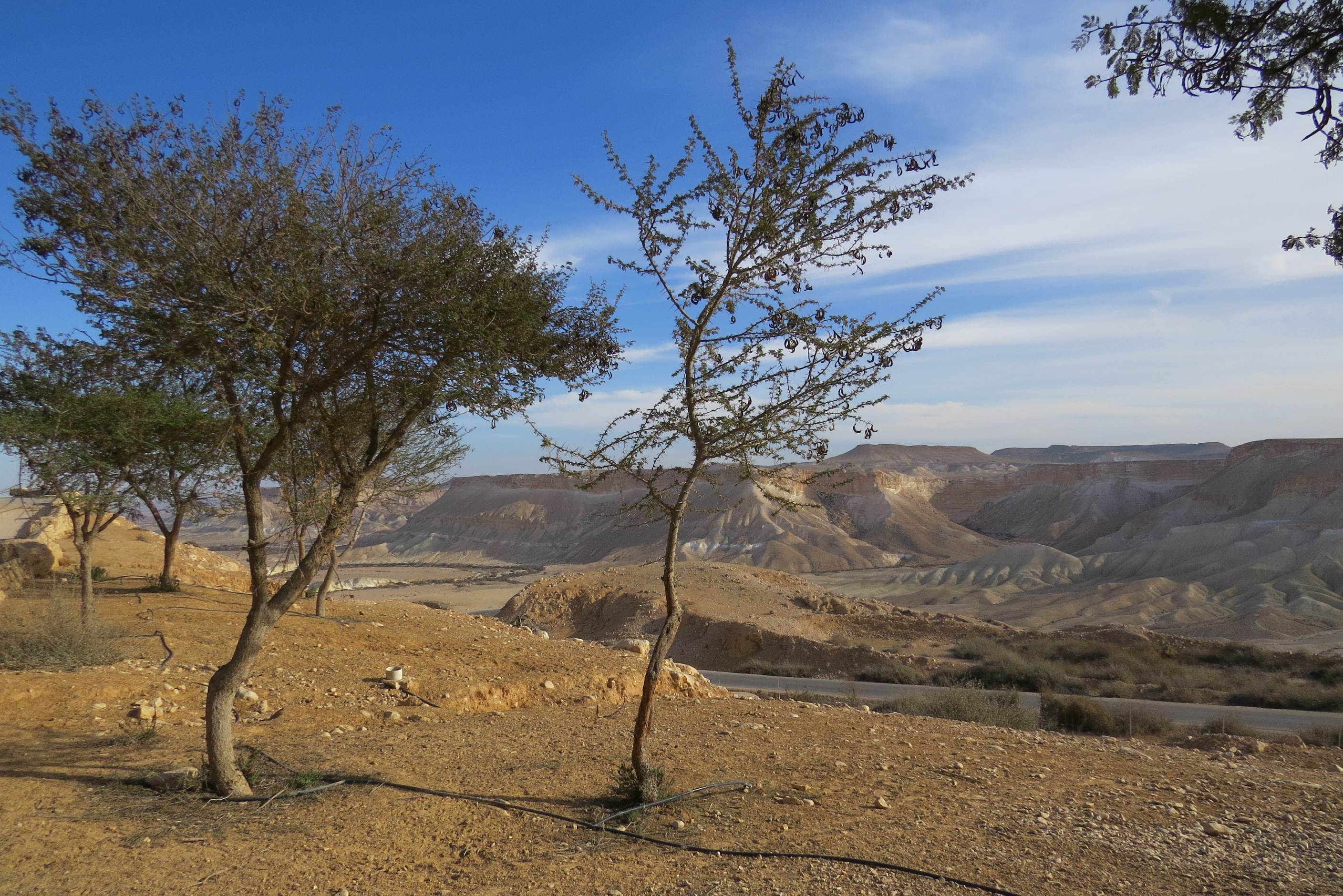 יום טיול בדרך לאילת: שדה בוקר ומצפה רמון