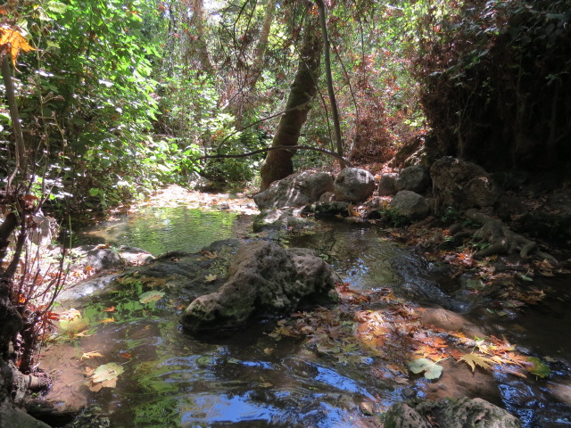 טיול בין הבריכות הקסומות של נחל עמוד עליון