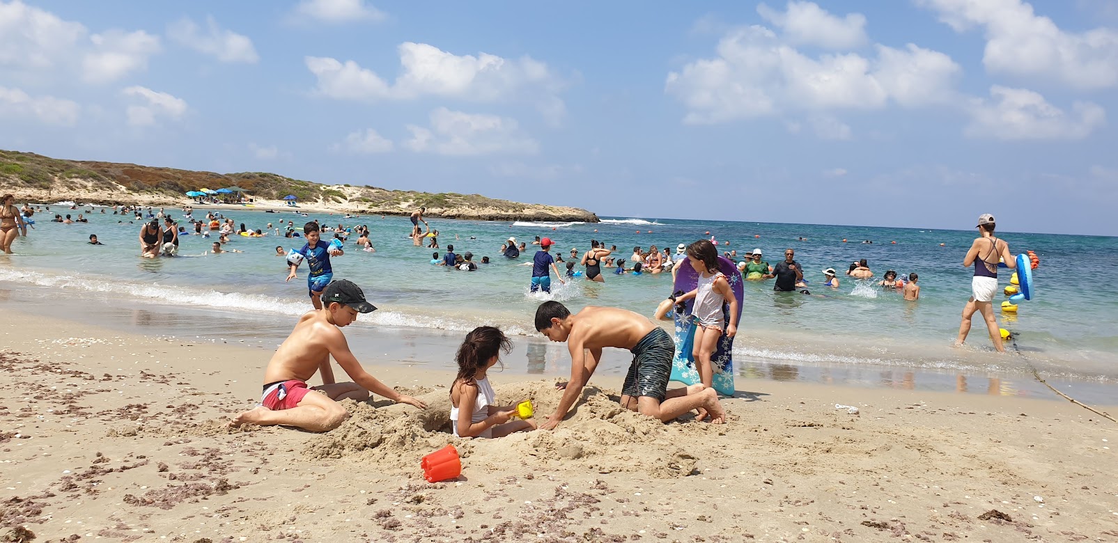 הטיולים המומלצים ביותר באזור חוף הכרמל